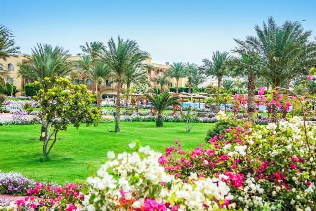 Desert Rose Resort