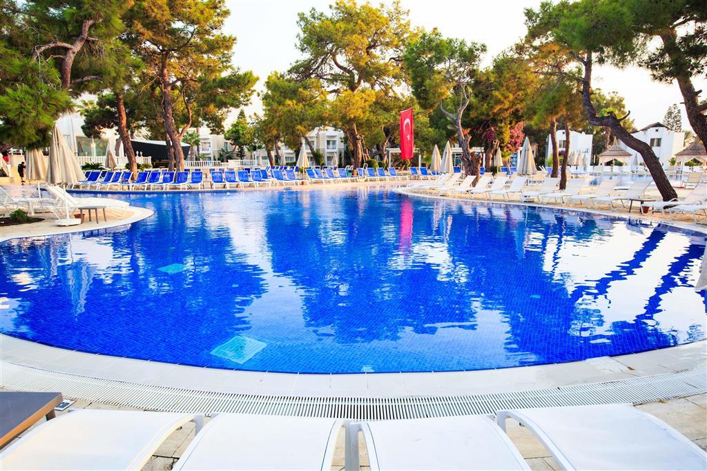 Loxia resort kemer 5. Фан Сан Фэмили комфорт Гейнюк. Fun Sun Comfort Beach Resort 5. Роял пальм Резорт Кемер. Fun&Sun Казахстан.