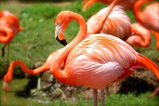ZOO Zlín a zámok Lešná