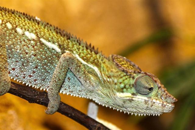 ZOO Zlín a zámok Lešná