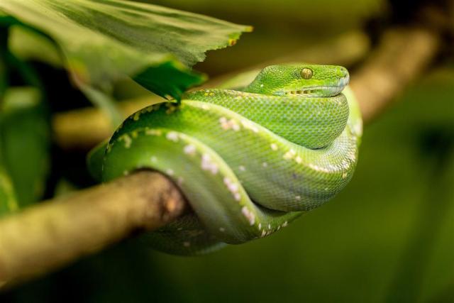ZOO Zlín a zámok Lešná