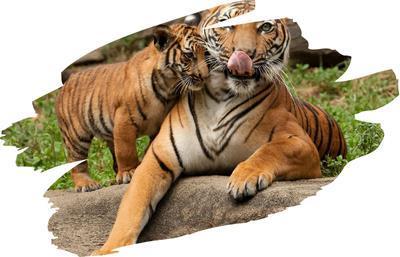 ZOO Zlín a zámok Lešná